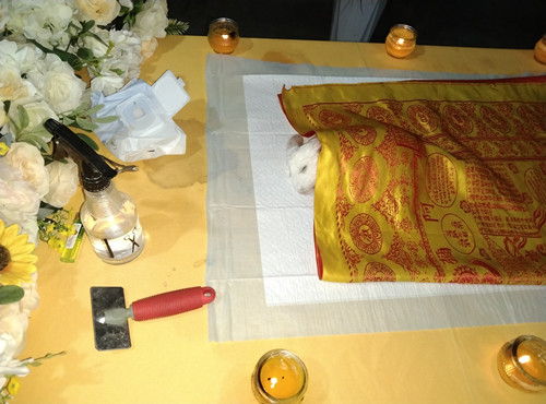 宠物安乐的条件和要求(图1) 宠物安乐的条件和要求(图1)