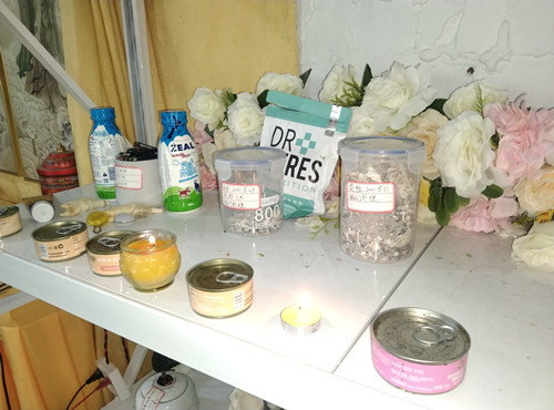 宠物安乐的条件和要求(图2) 宠物安乐的条件和要求(图2)