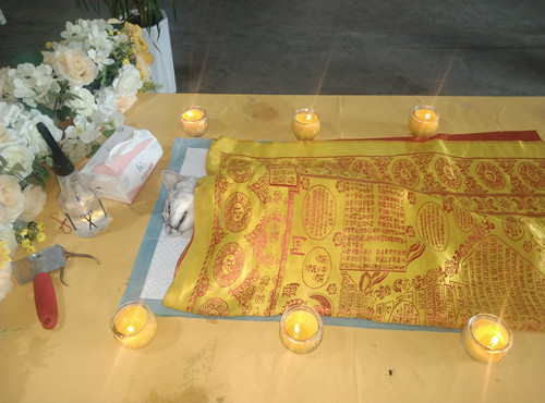 “麦麦”和“阿呆”的火化时刻(图1)