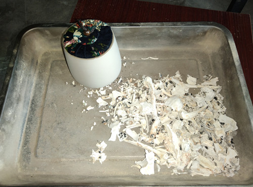 “麦麦”和“阿呆”的火化时刻(图3)