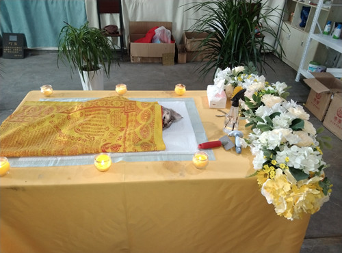 忙碌的一天代表着又有几个小宝贝走了.......(图1)