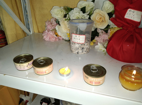 忙碌的一天代表着又有几个小宝贝走了.......(图5)