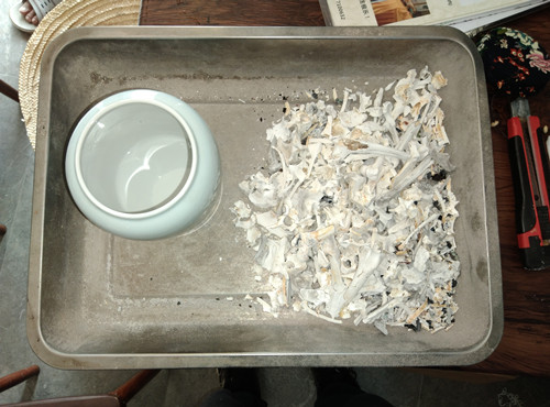 忙碌的一天代表着又有几个小宝贝走了.......(图3)