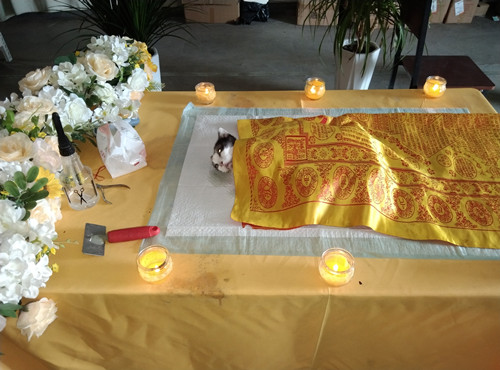 9月16“芒果”“小花”“布丁”“希希”火化铭记(图2) 9月16“芒果”“小花”“布丁”“希希”火化铭记(图2)