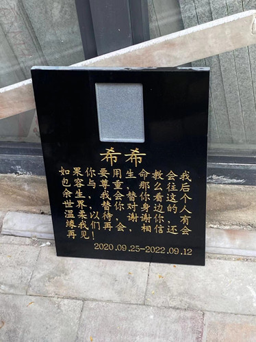 “嘟嘟”“叮当”“希希”下葬的墓碑和照片(图1)
