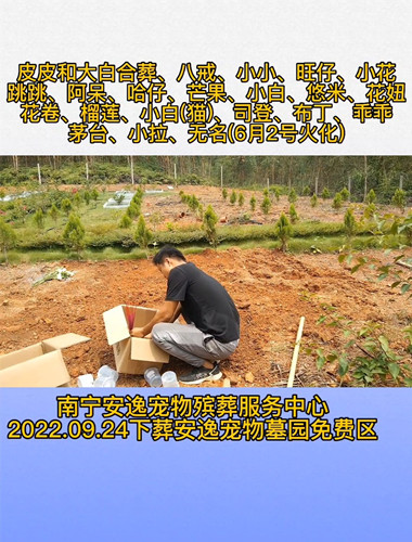 九月你好！欢迎各位入灵安逸宠物墓园免费下葬(图2)