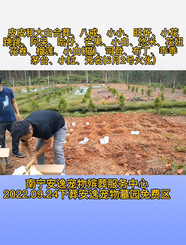 九月你好！欢迎各位入灵安逸宠物墓园免费下葬(图1)