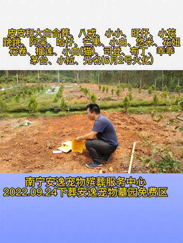 九月你好！欢迎各位入灵安逸宠物墓园免费下葬(图3)