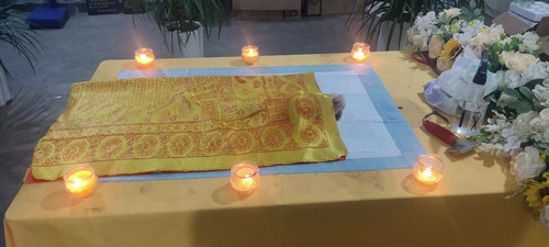广州安逸十月火化狗狗专辑(图7)