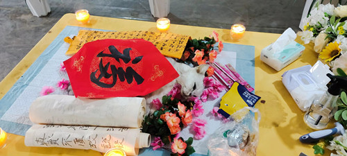 广州十月猫咪火化下葬专辑(图9)