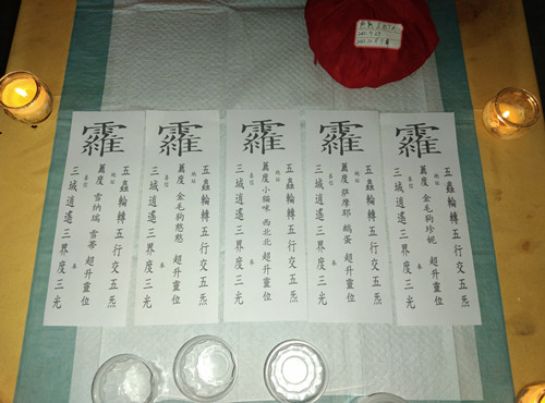 广州猫狗土葬要多少钱？(图1)