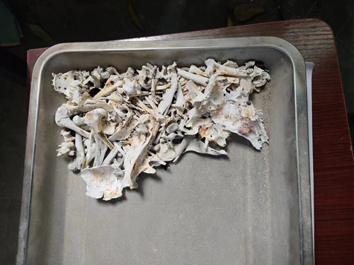 一家三口的灭门惨案！痛心......(图2)