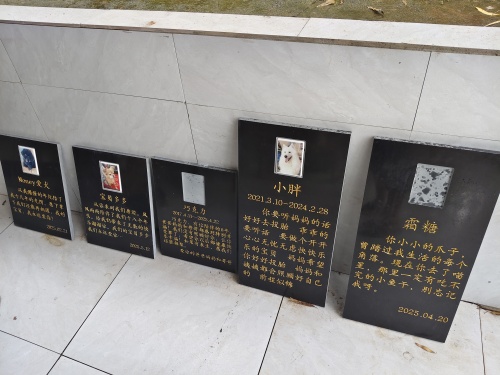 爱宠一家5月集体超度法会(图2)