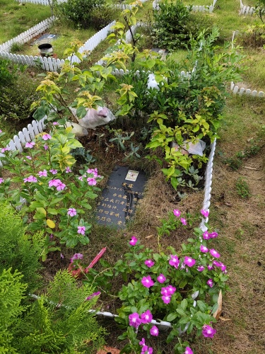 宠物墓园日常维护修建(图4)