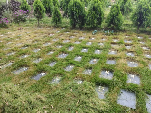 宠物墓园日常维护修建(图1)