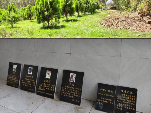 爱宠一家下葬超度法会(图3)