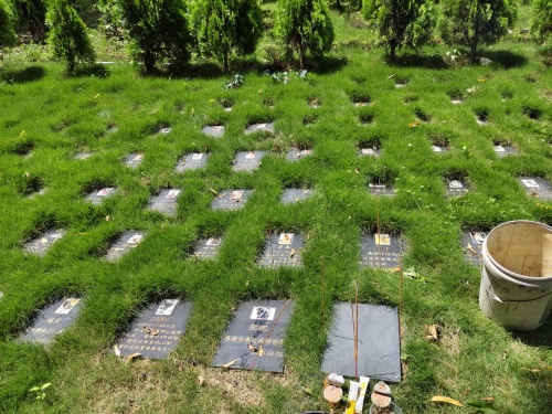 爱宠一家下葬超度法会(图2)