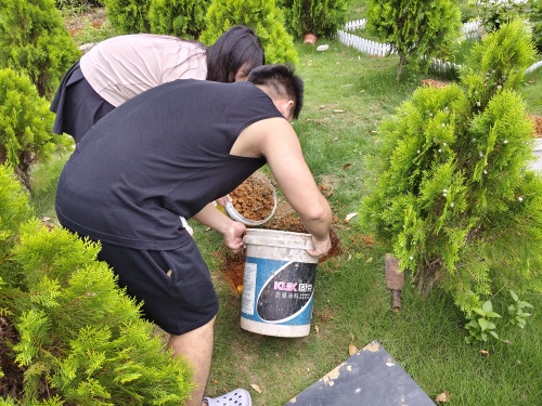 爱宠一家宠物墓园土葬(图1)