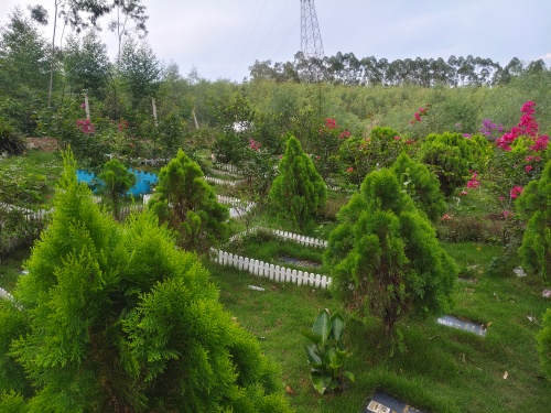 深圳爱宠洁妮土葬殡葬服务(图4)